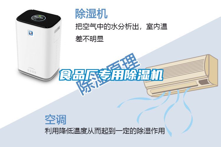食品厂专用91抖音免费看片
