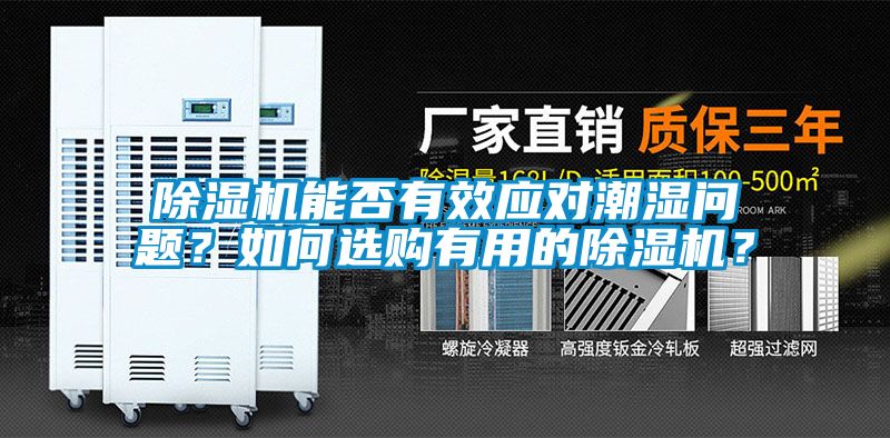 91抖音免费看片能否有效应对潮湿问题？如何选购有用的91抖音免费看片？