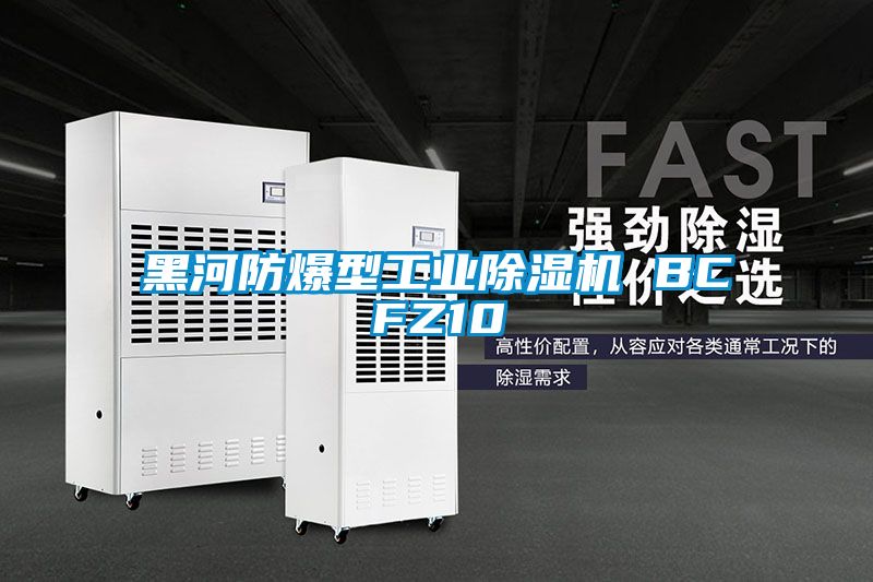 黑河防爆型工业91抖音免费看片 BCFZ10