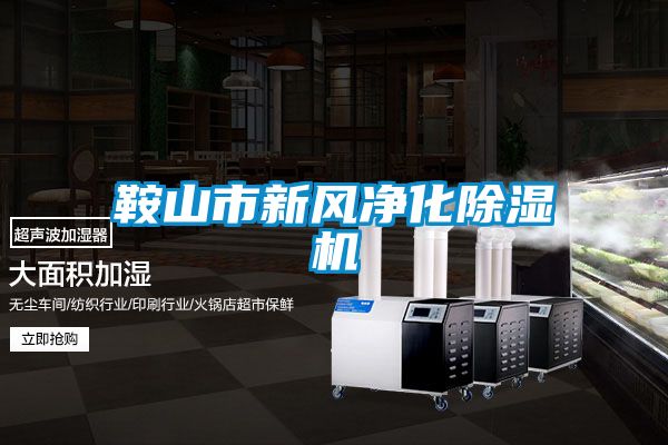 鞍山市新风净化91抖音免费看片