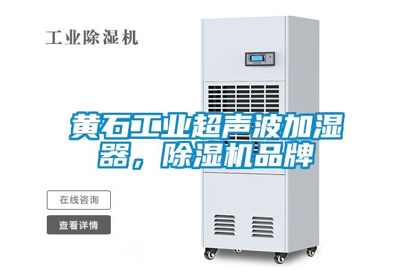 黄石工业超声波加湿器，91抖音免费看片品牌