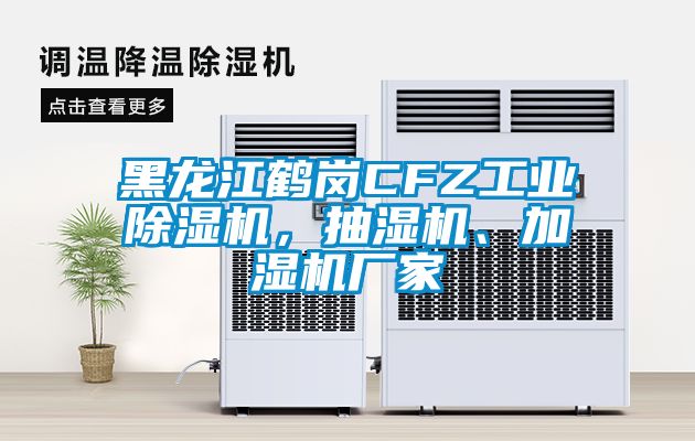 黑龙江鹤岗CFZ工业91抖音免费看片，抽湿机、加湿机厂家