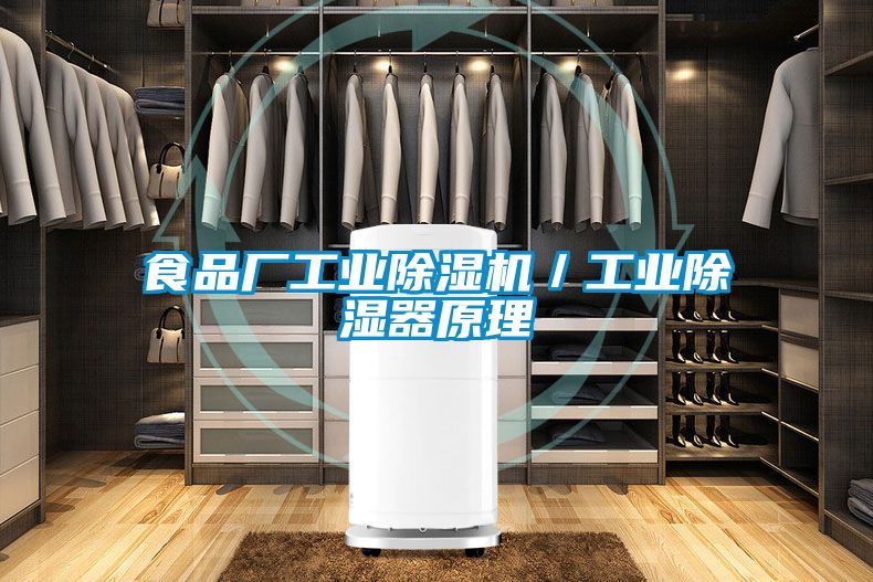 食品厂工业91抖音免费看片／工业除湿器原理