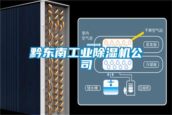 黔东南工业91抖音免费看片公司