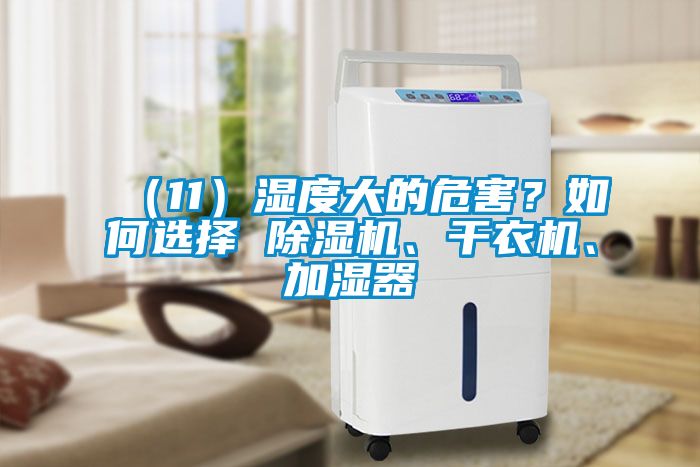 （11）湿度大的危害？如何选择 91抖音免费看片、干衣机、加湿器