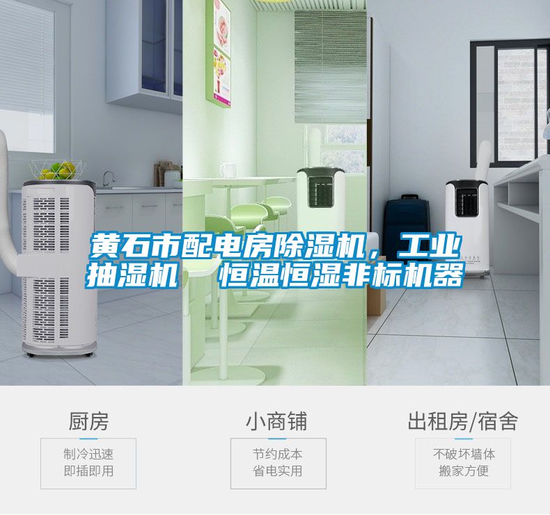 黄石市配电房91抖音免费看片，工业抽湿机  恒温恒湿非标机器