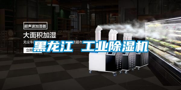黑龙江 工业91抖音免费看片