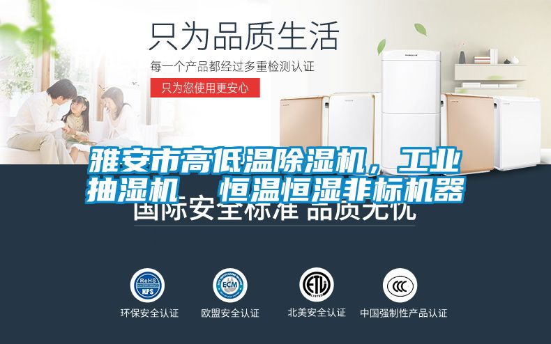 雅安市高低温91抖音免费看片，工业抽湿机  恒温恒湿非标机器