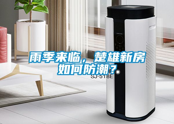 雨季来临，楚雄新房如何防潮？