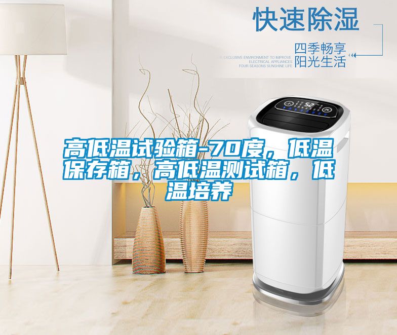 高低温试验箱-70度，低温保存箱，高低温测试箱，低温培养