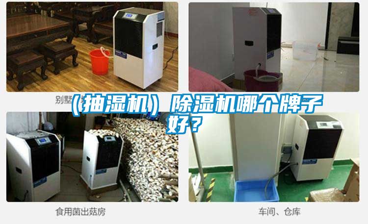 （抽湿机）91抖音免费看片哪个牌子好？